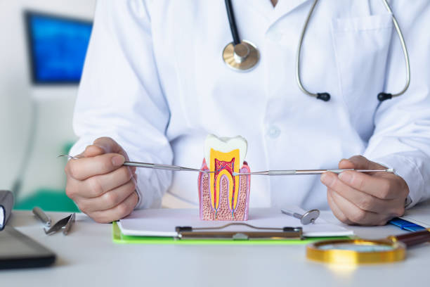 Reliable WI Emergency Dental Service Solutions